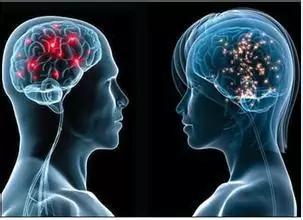 牙齿保质期是多长时间,牙齿保质期