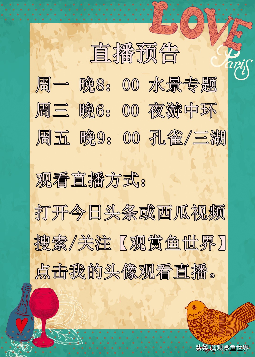 观赏鱼孔雀是热带鱼,观赏鱼孔雀鱼饲养九要点送给新手