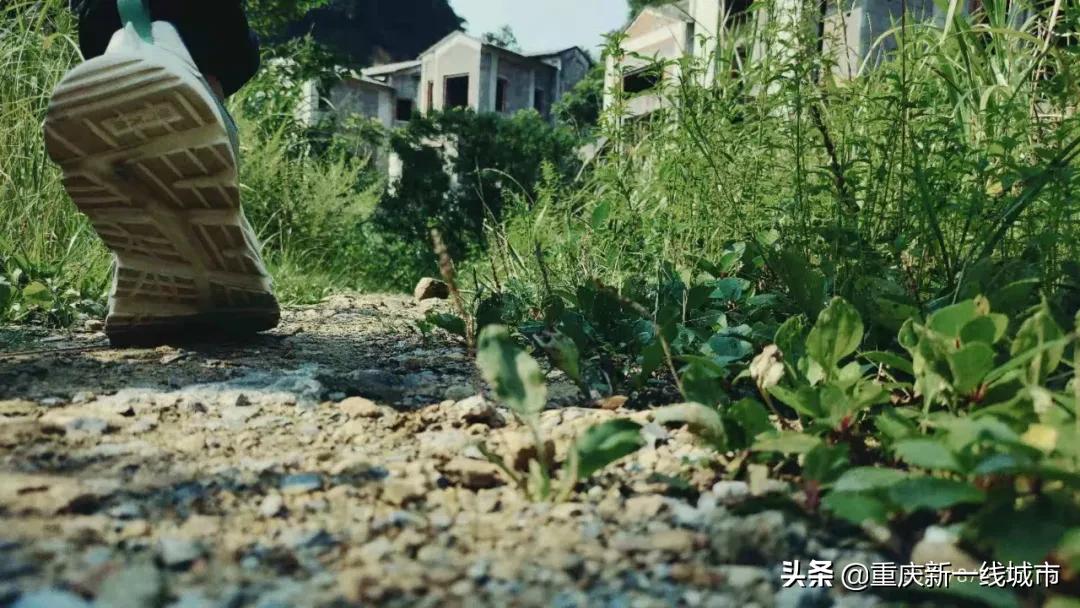 荒野求生之神秘洞穴,荒野求生神秘洞穴