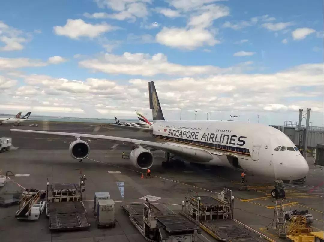 2018年新加坡航空,2019全球最佳航空排名