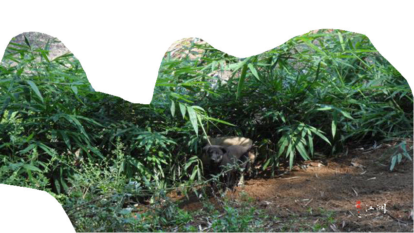 果断徒步旅行记,旅行日记户外徒步登山
