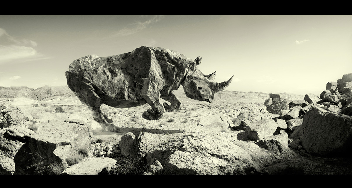 犀牛被锯掉角之后有天敌吗,为什么锯掉犀牛角是保护犀牛