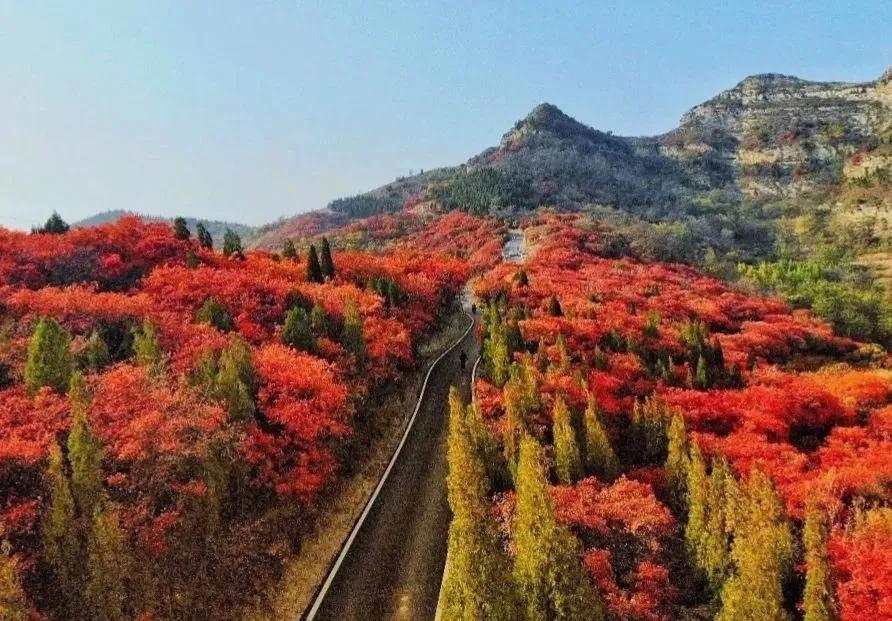 打造地方特色文旅项目,重磅打造的文旅项目