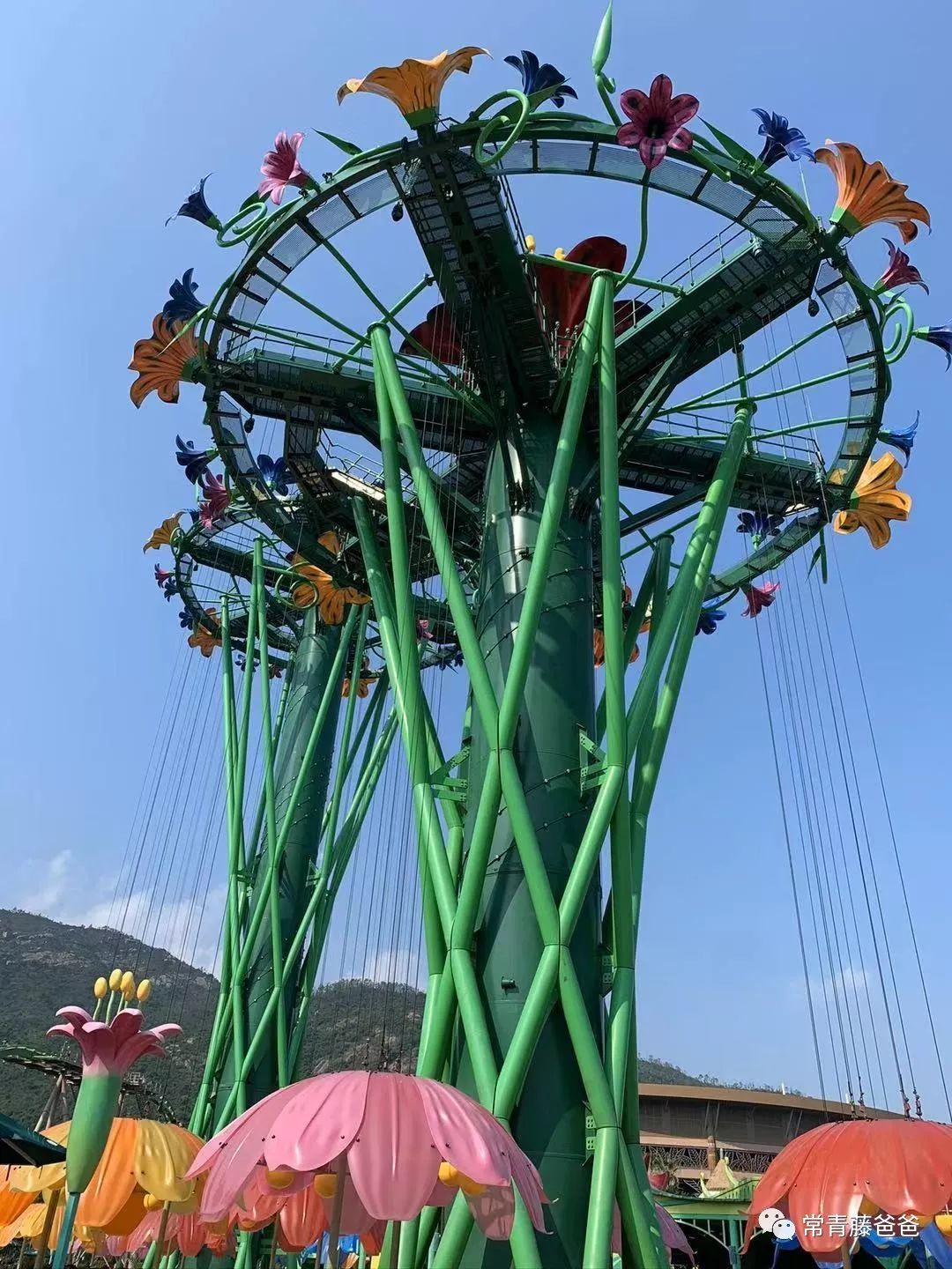 广州长隆攻略两天一夜住哪个酒店,去珠海长隆前一天下午游玩攻略