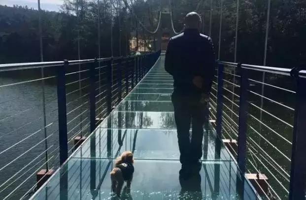 昆明玻璃栈道有哪些,昆明景点之玻璃栈道