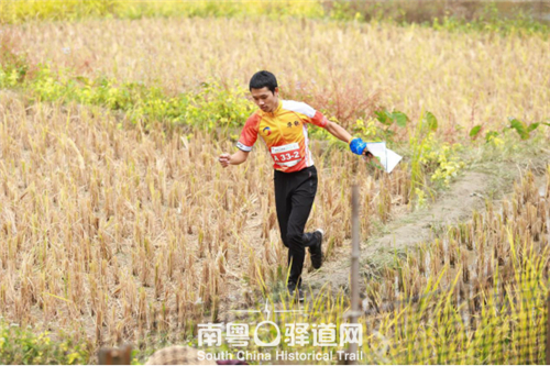 鍗楃菠鍙ら┛閬撳钩杩滃叓灏虹珯,鍗楃菠鍙ら┛閬撳畾鍚戝ぇ璧涘钩杩滃叓灏虹珯