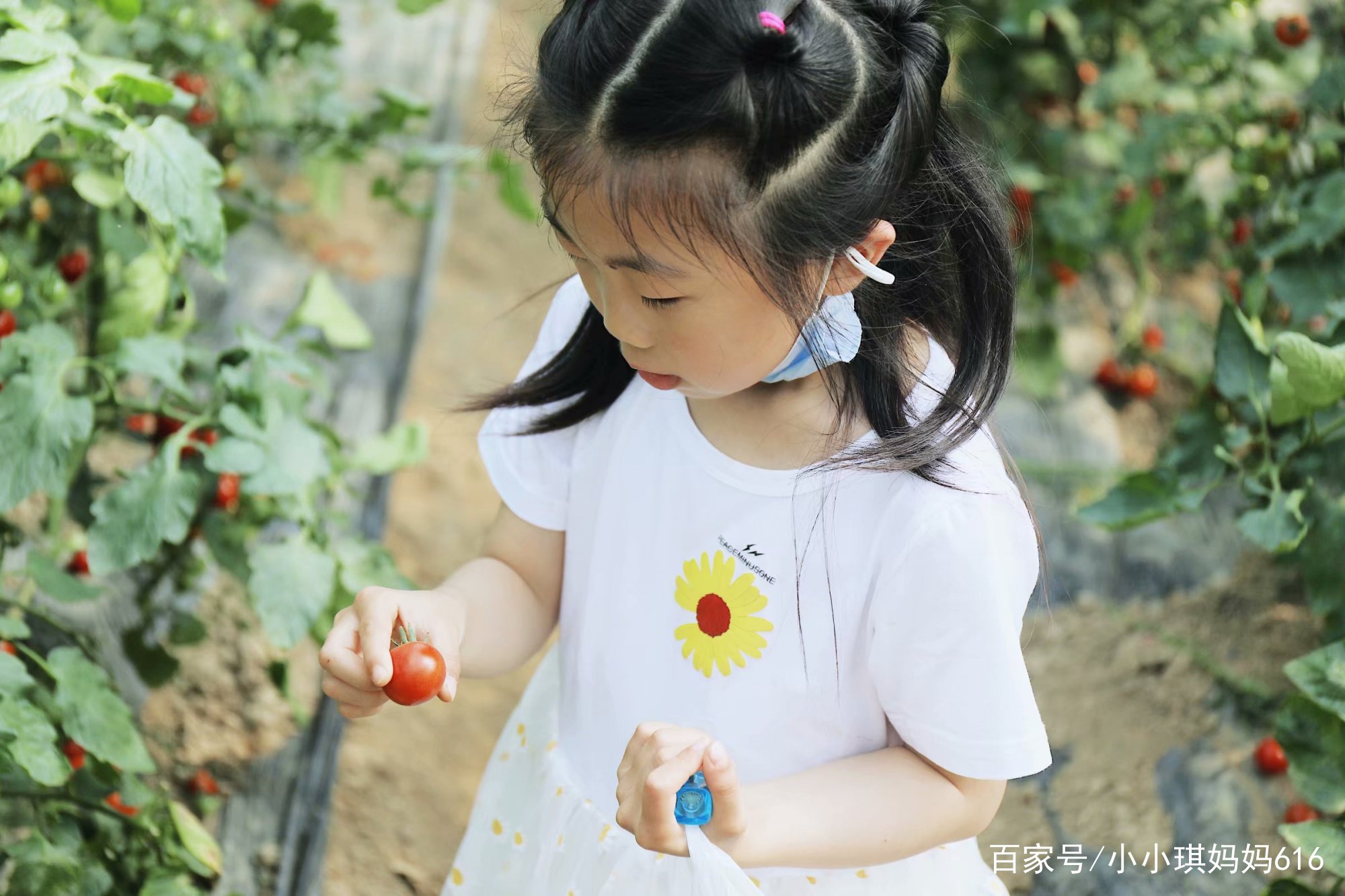 南京周边适合小众安静的旅行地,南京周边一天度假最好的地方