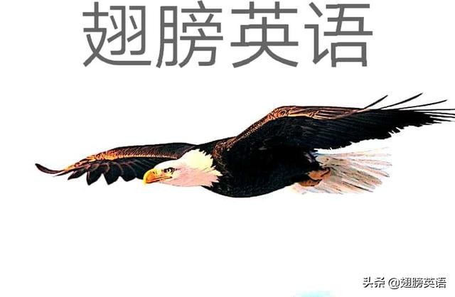 put所有短语大全集,put相关短语及意思