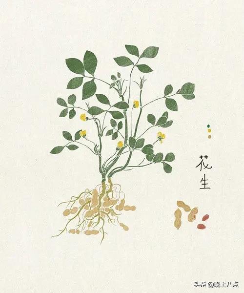 浮世绘四季交替,浮世绘植树