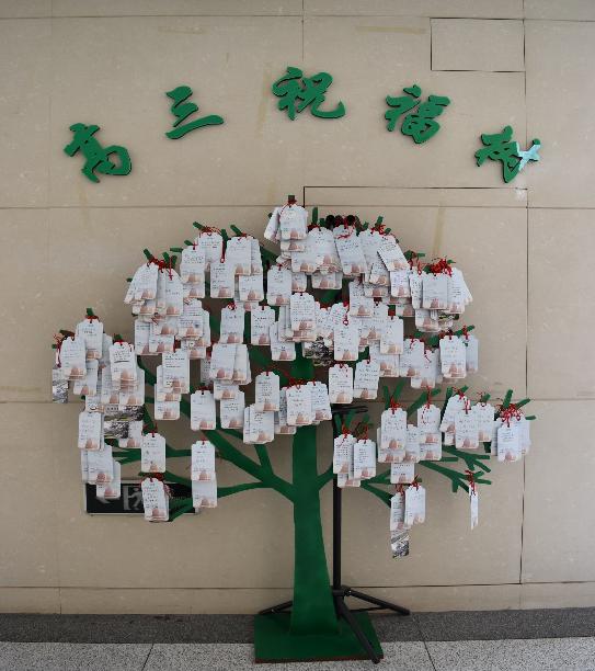 2020全景看高中丨历久弥新，八中用心探索可能，用心成就梦想