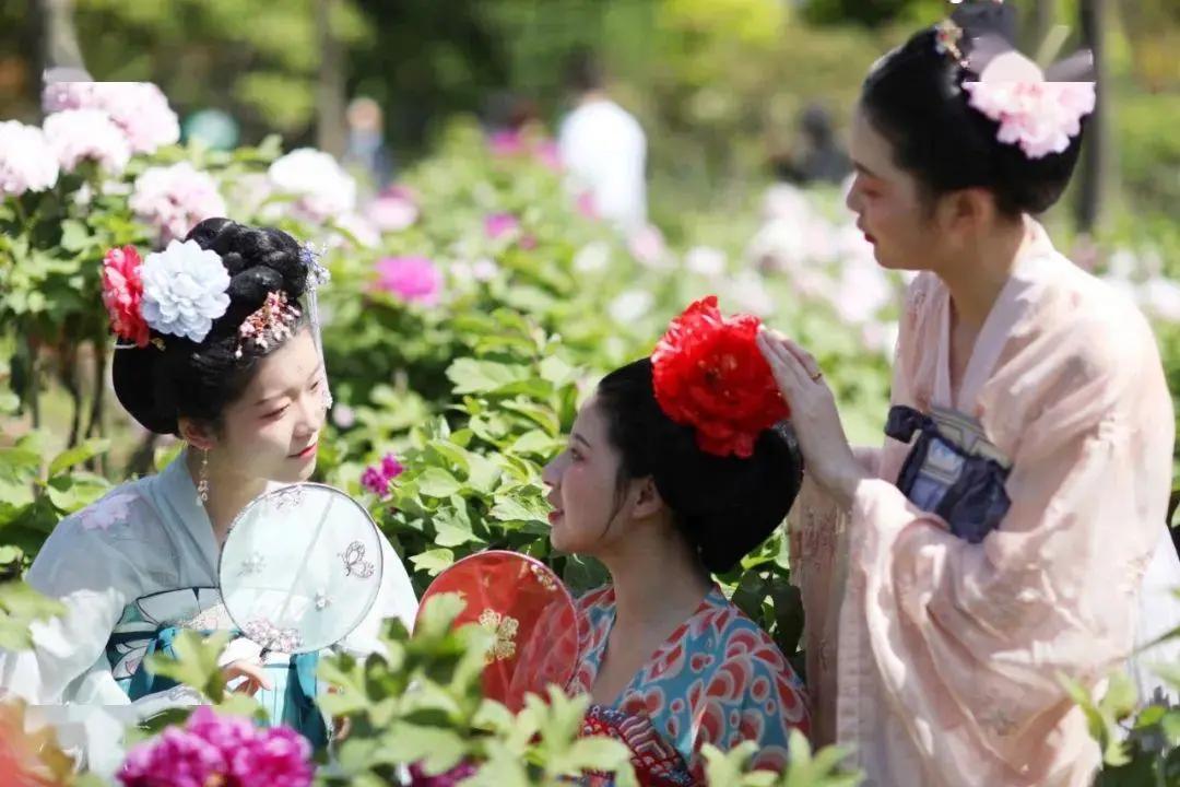 中国的国花是哪一种,中国的国花是什么时间定的