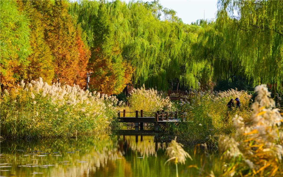 夏日好去处济南森林公园,济南森林公园雪景