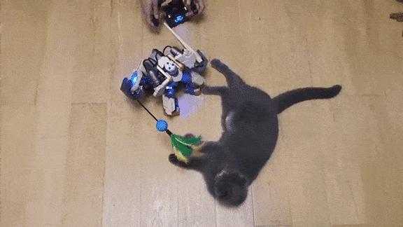 格斗机器人盾山开箱,盾山格斗机器人