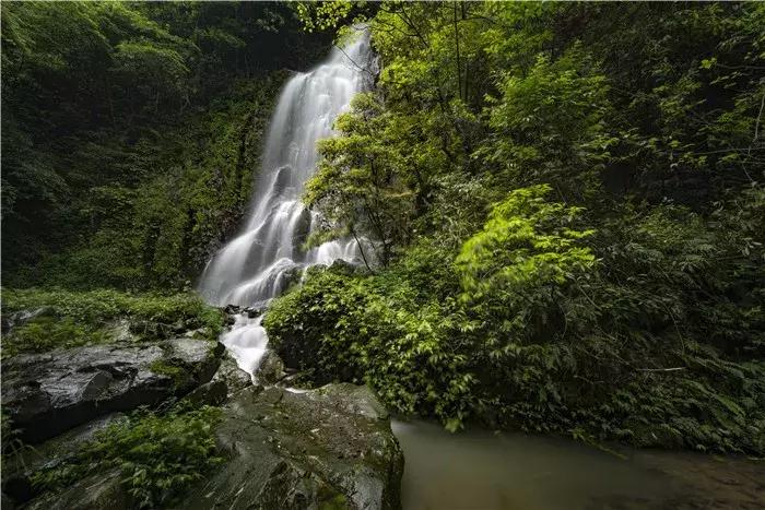 下一站联合电子,下一站同行