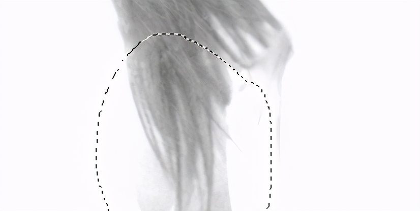 ps复杂背景发丝相近颜色抠图方法,ps通道抠人物发丝