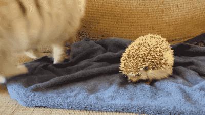 没有理由不画画！看大神用电脑自带工具搞创作