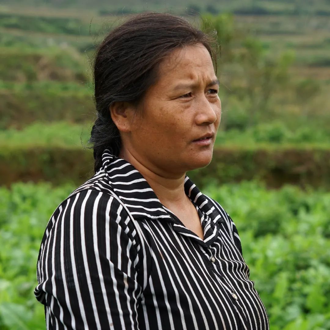 大理特色农业小镇,大理乡村发展现状和发展趋势