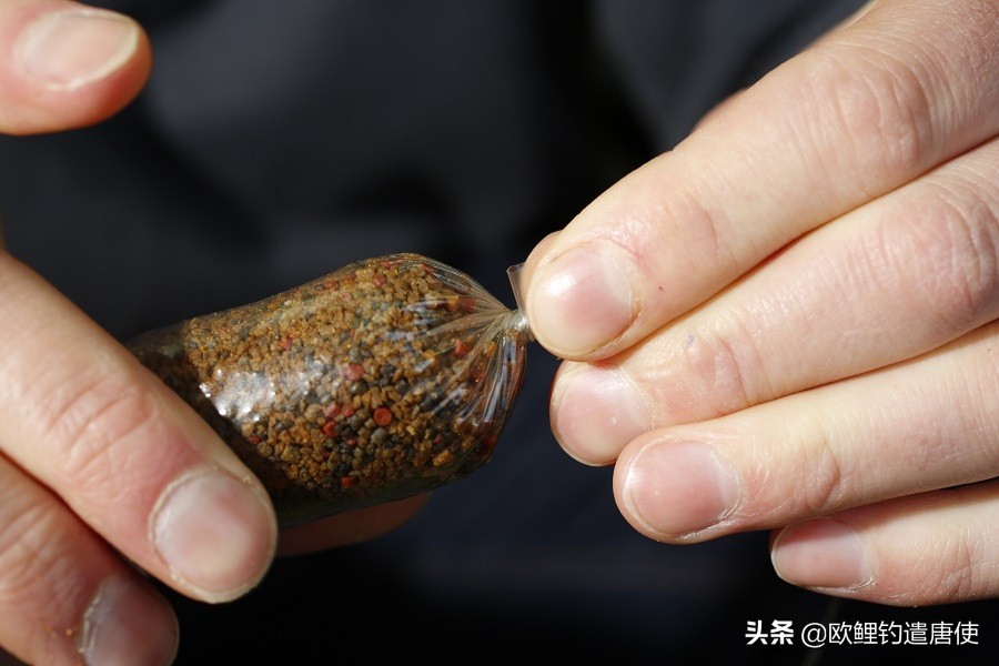 老外钓鱼打窝,老外打窝钓鱼视频大全