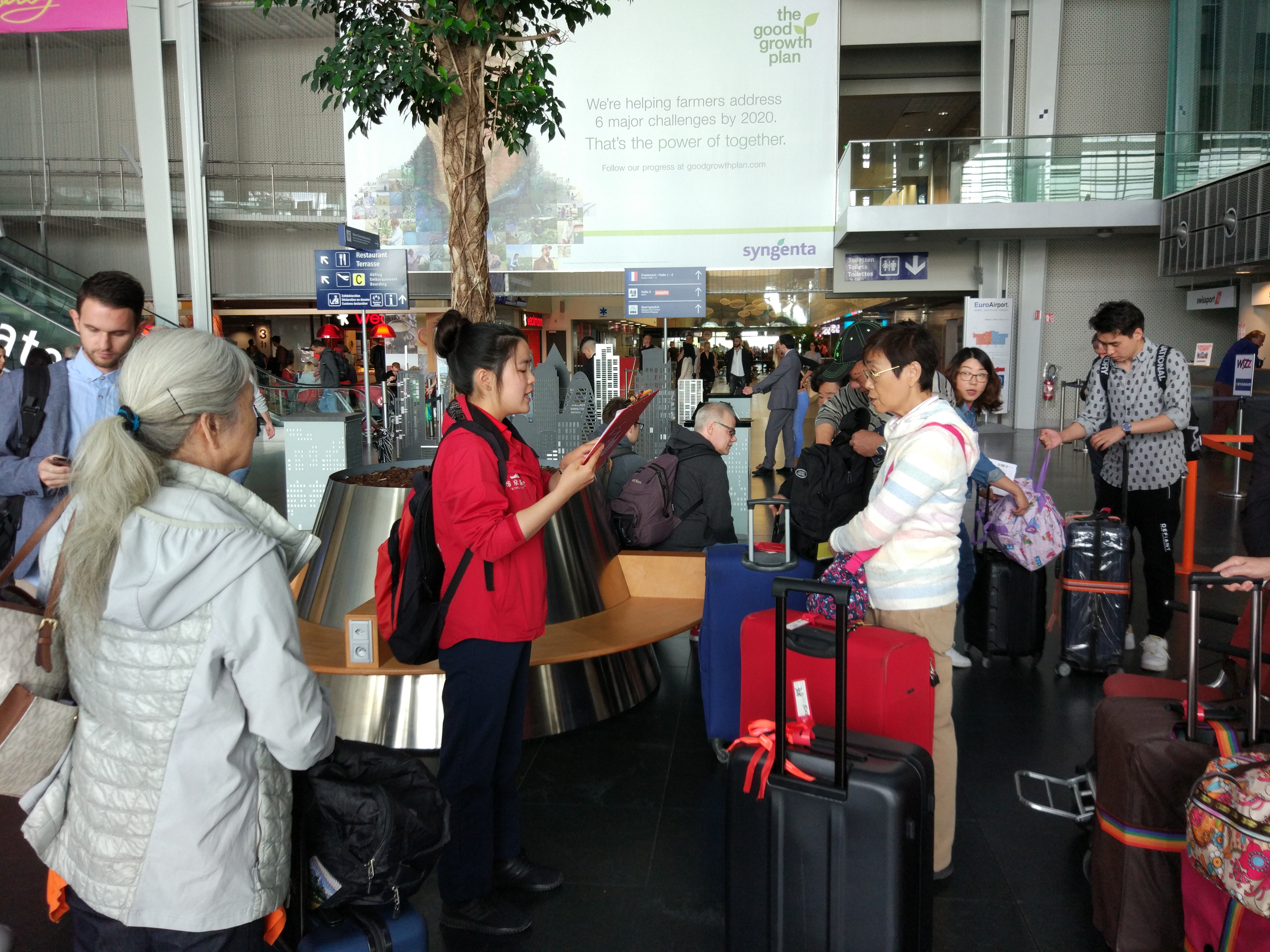 维京游轮莱茵河线旅游实录（十三）大结局