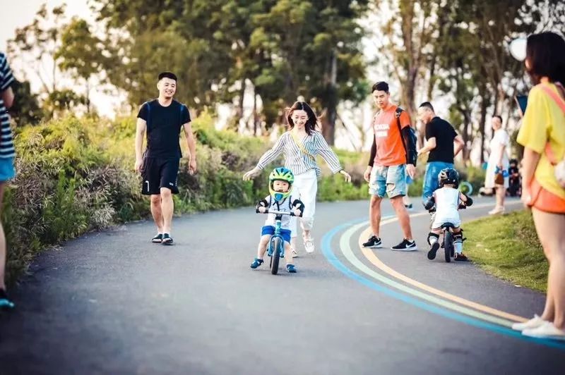 实体店最贵的平衡车 (实体店的平衡车好吗)