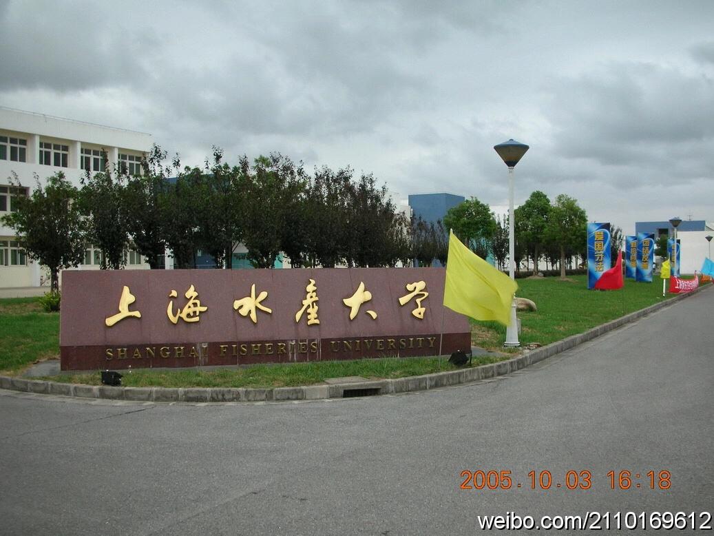南汇大学城好吗,南汇新城发展较弱的原因