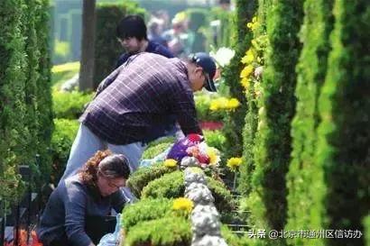 北京清明扫墓最新消息,北京公交春节期间开通专线