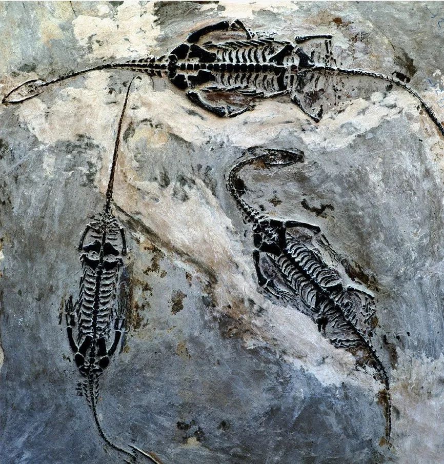 不可思议的多彩贵州,多彩贵州有几个系列