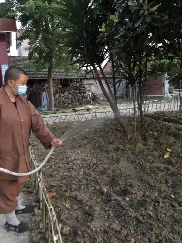 抢抓农时开展农业生产,农民纷纷抢抓春耕生产有利时机