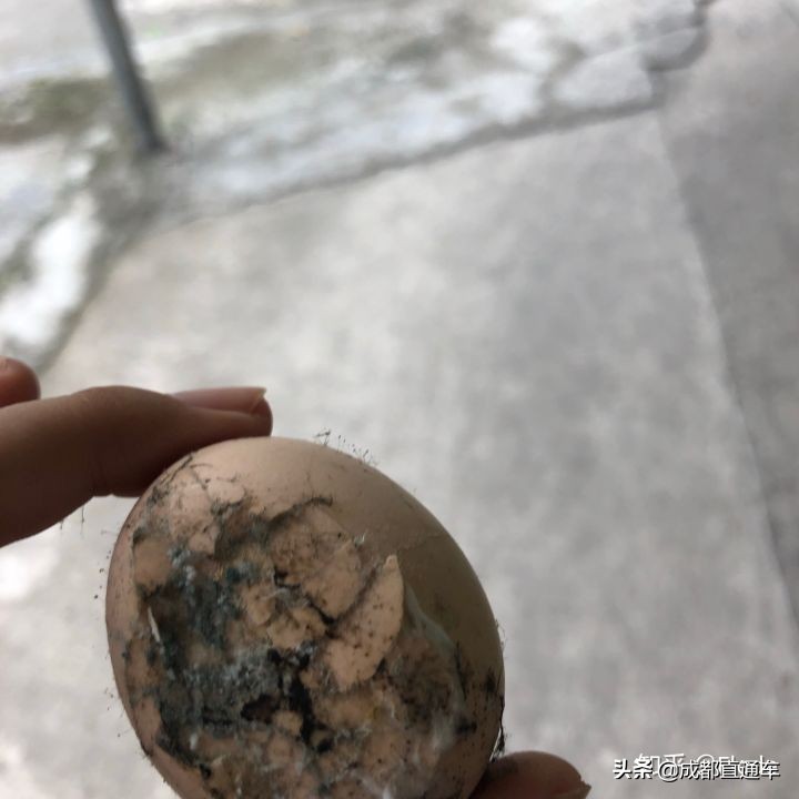 2019你都拍过什么,2019年最怀念的照片