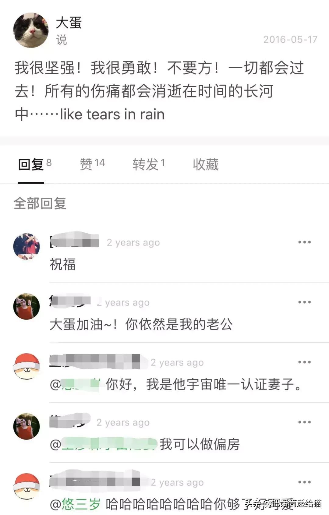 猫故事集,猫故事完整版