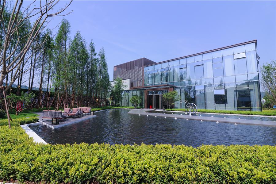 一燃再燃,一燃最新视频