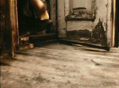 张曼玉林青霞电影三毛,林青霞自传回忆三毛写了什么