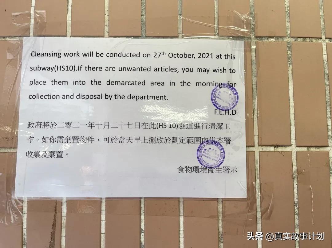 香港流浪者生活,香港流浪者的真实生活