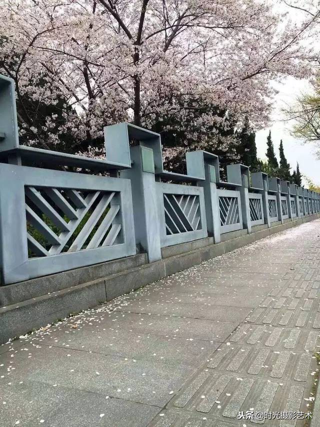 手机摄影创作后期教程,手机摄影的光影技术