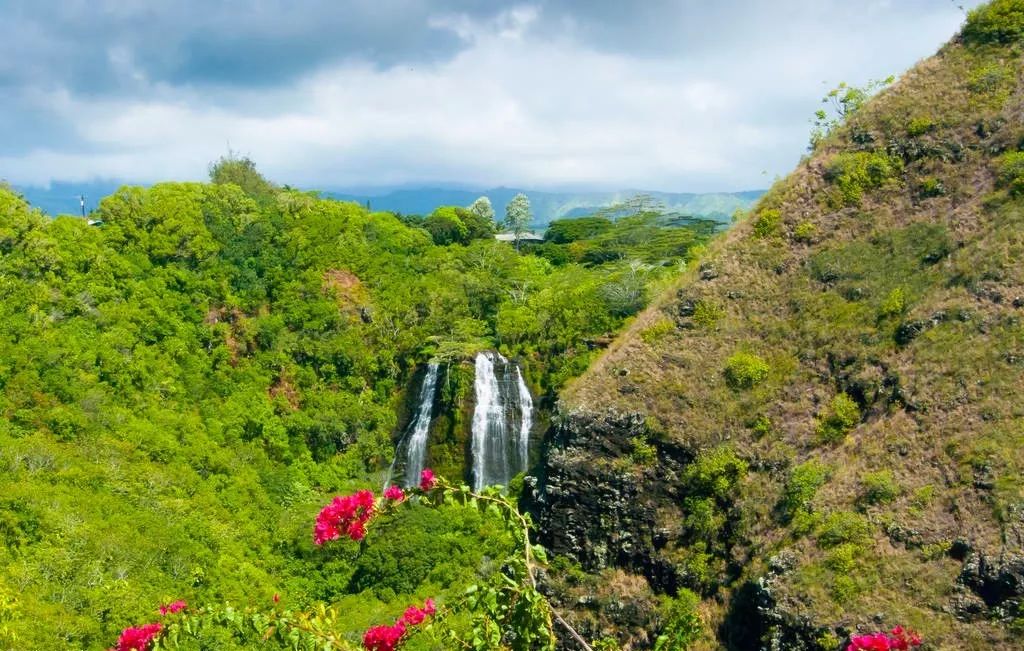 为什么一定要去夏威夷,为什么大家都去夏威夷