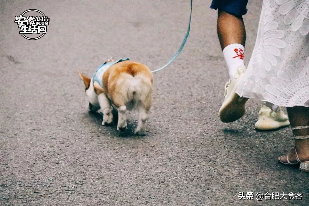 合肥大蜀山的秘密,合肥大蜀山的由来