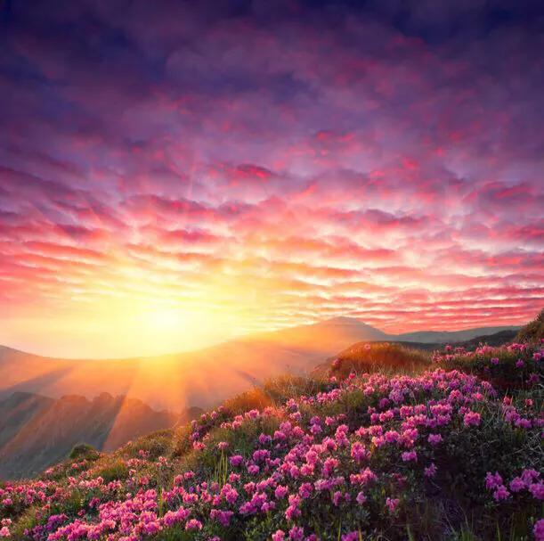 达州三汇,四川省渠县三汇白腊坪民间故事