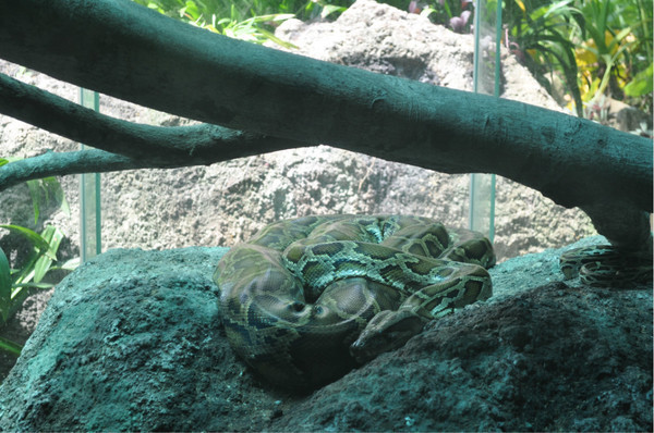 三亚自由行旅游攻略超详细哦,三亚旅游自由行全攻略