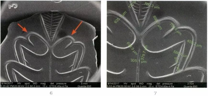 江苏徐州狮子山楚王墓陶俑,狮子山楚王大墓玉器
