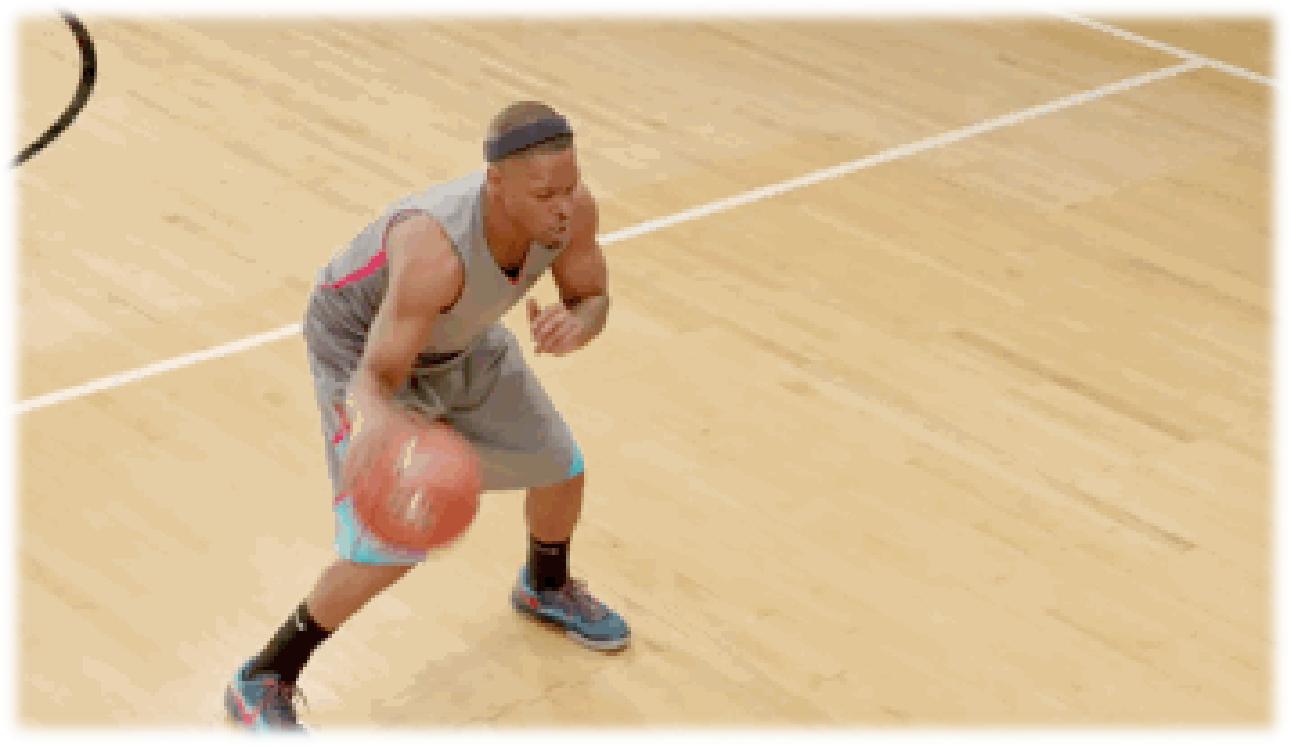 科学砰砰秀之弹力世界