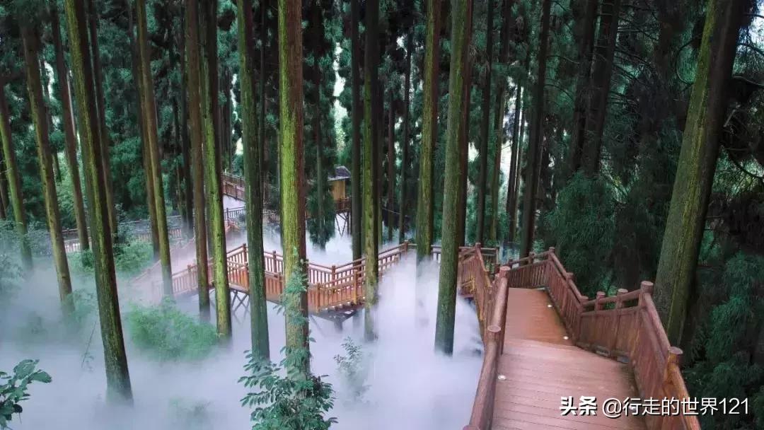 峨眉山山间禅意民宿,山中特色民宿