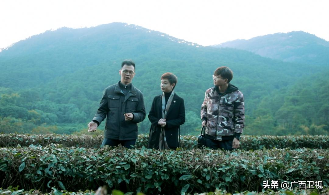 桂平入选国家级示范县建设,广西对外开放发展重要平台