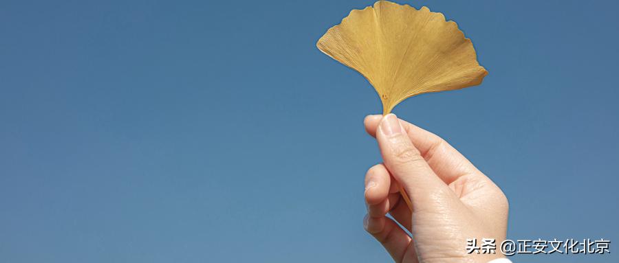 医学启源导读课程,医学启源第一课