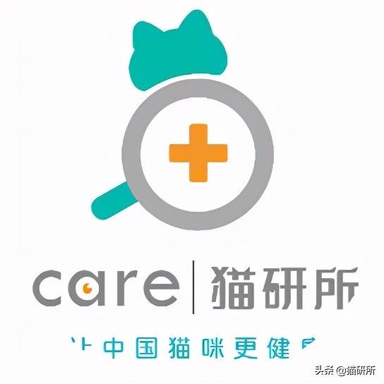 脚气传染猫咪 (猫咪脚气一般什么症状)