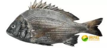 舟山4月份海鲜攻略,舟山海鲜代加工攻略