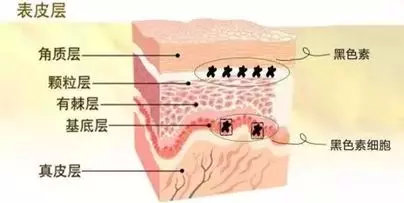 夏天手晒黑了怎样快速变白,夏天晒黑了大概多久能自己白回来