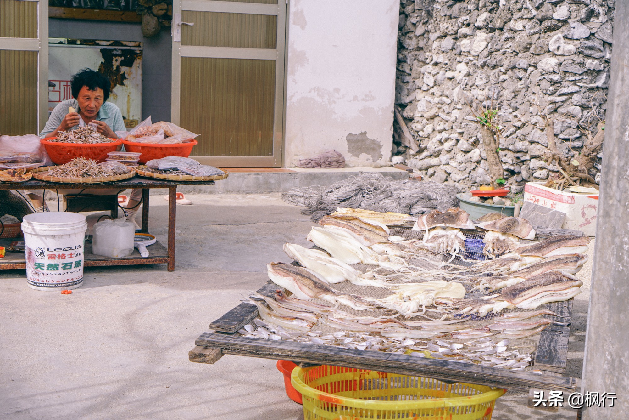 被猴子袭击，门票昂贵，拍照被轰，被我全程吐槽的三亚到底值不值