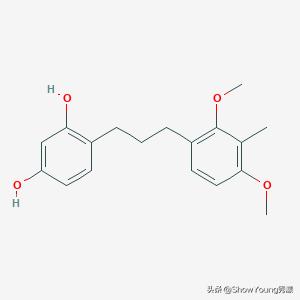 要肌肤像剥了壳的鸡蛋？你对斑了解多少？