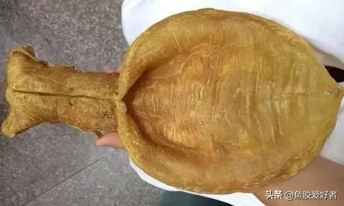 花胶最佳配方和价格,花胶应该怎样挑选