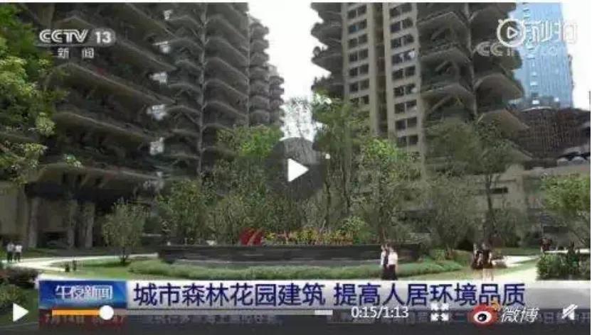 住在公园里是什么体验,居住在公园里的感受